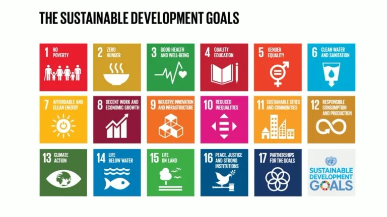 Do you know all 17 United Nations SDGs?