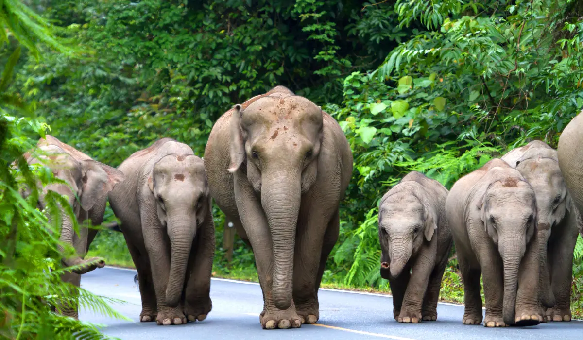 Make sure your adventures don’t support suffering