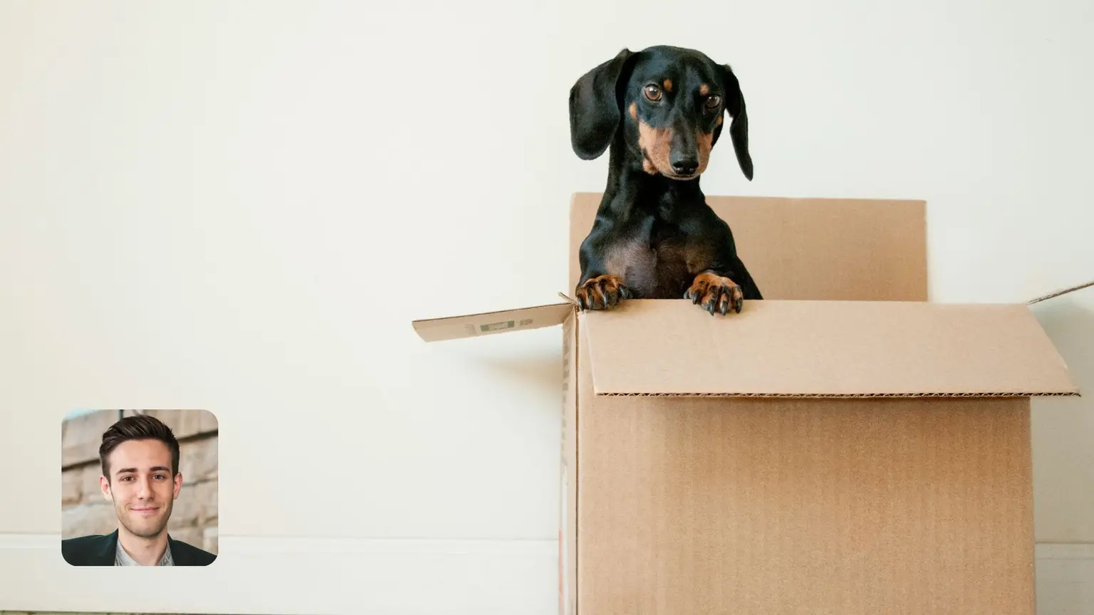 Moving can offer a clean slate, but it often comes with excessive waste, from packing materials to fuel emissions. Whether you’re relocating your home or business, you can take practical steps to reduce your carbon footprint.