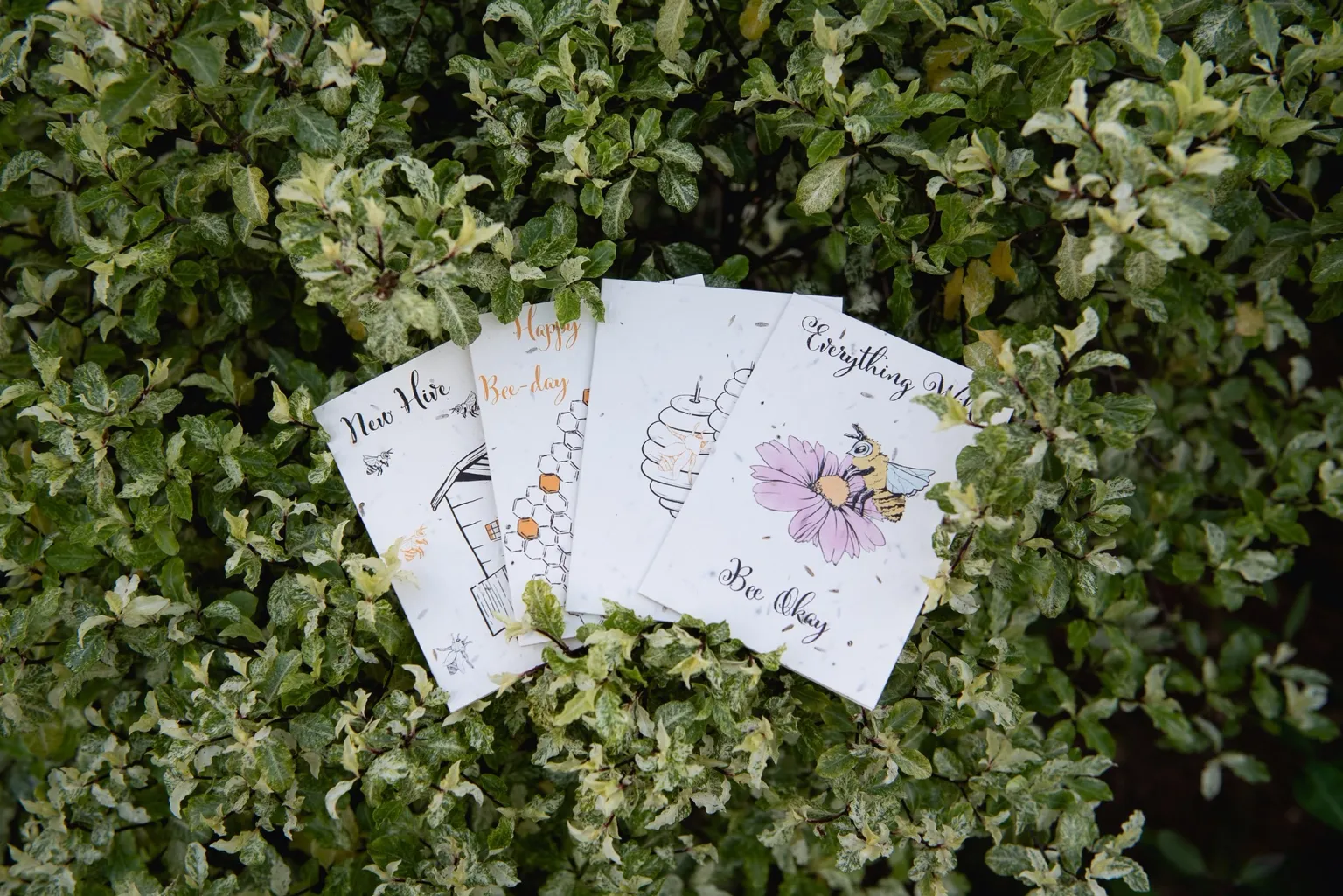 Greeting cards that grow into flowers