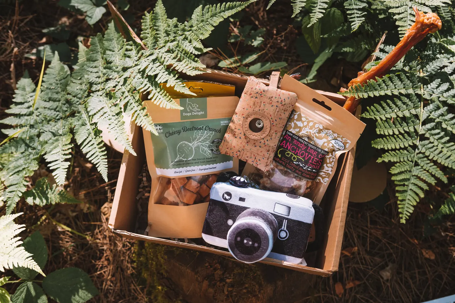 Eco-friendly dog treats and subscription boxes