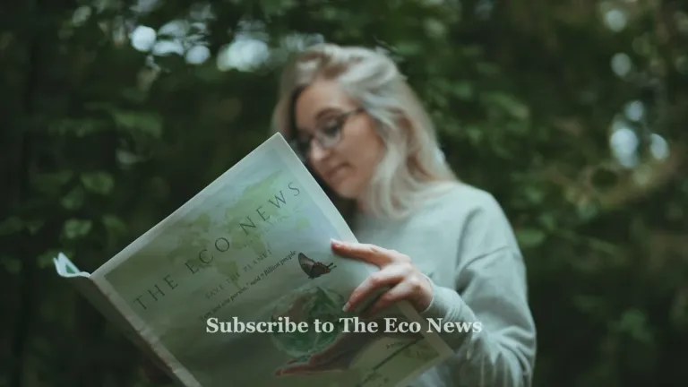 How you can be more sustainable by The Eco News