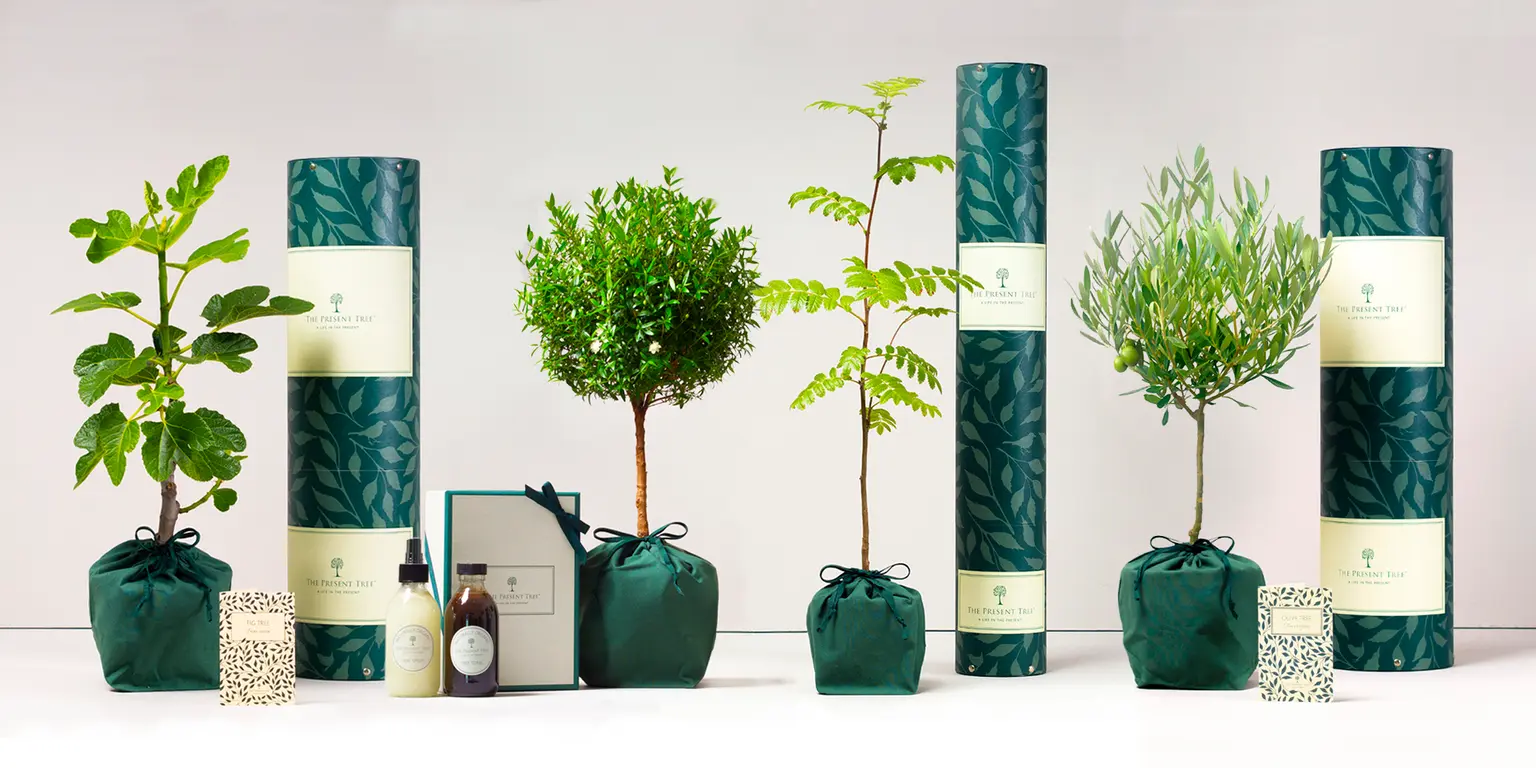 Beautiful tree gifts grown with planet-friendly ethics
