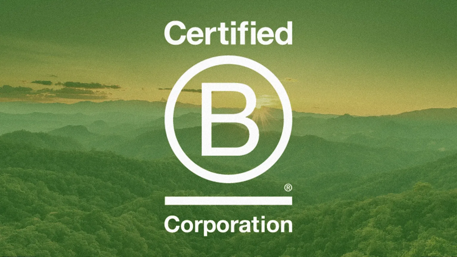 Becoming a Certified B Corporation isn’t just about good intentions or strong values. It’s about being able to prove, with data, that a business is actively managing its impact on people and the planet. One of the most important areas where this proof is required is environmental performance, particularly carbon emissions.