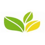 The Green Office