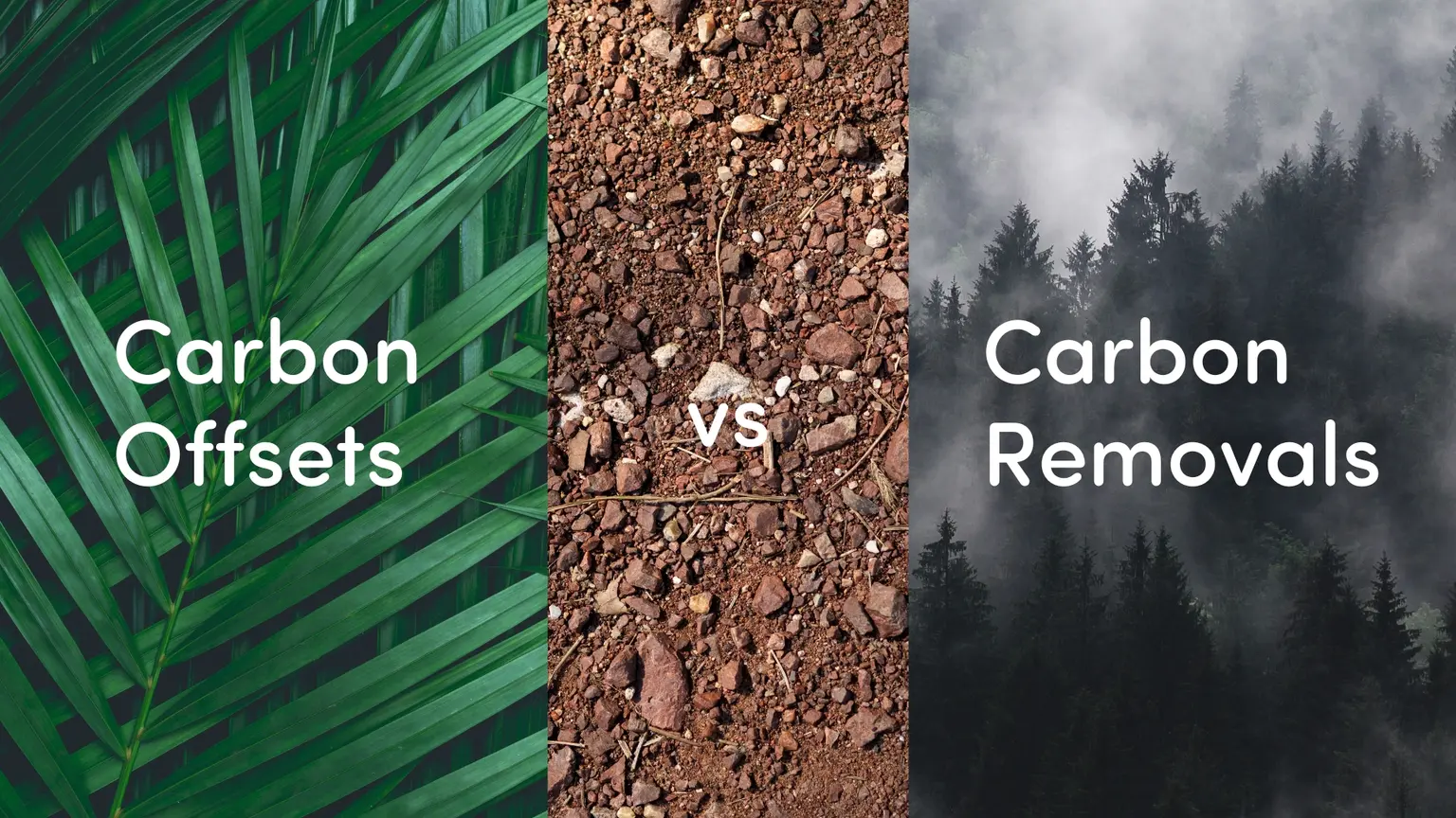 Simplifying carbon offsets vs. removals: finding the right fit for your business and the climate.