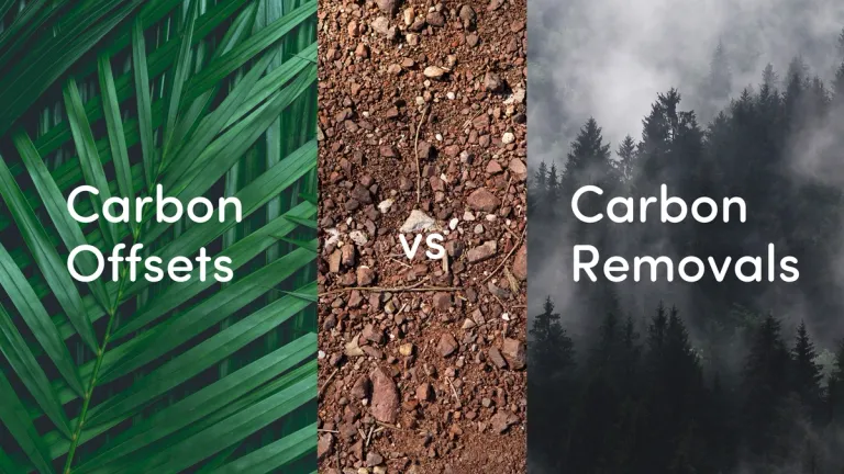Carbon Offsets vs Carbon Removals