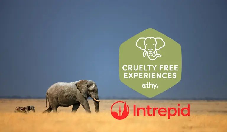 Animal Welfare Policy Toolkit for Travel Industry by Intrepid
