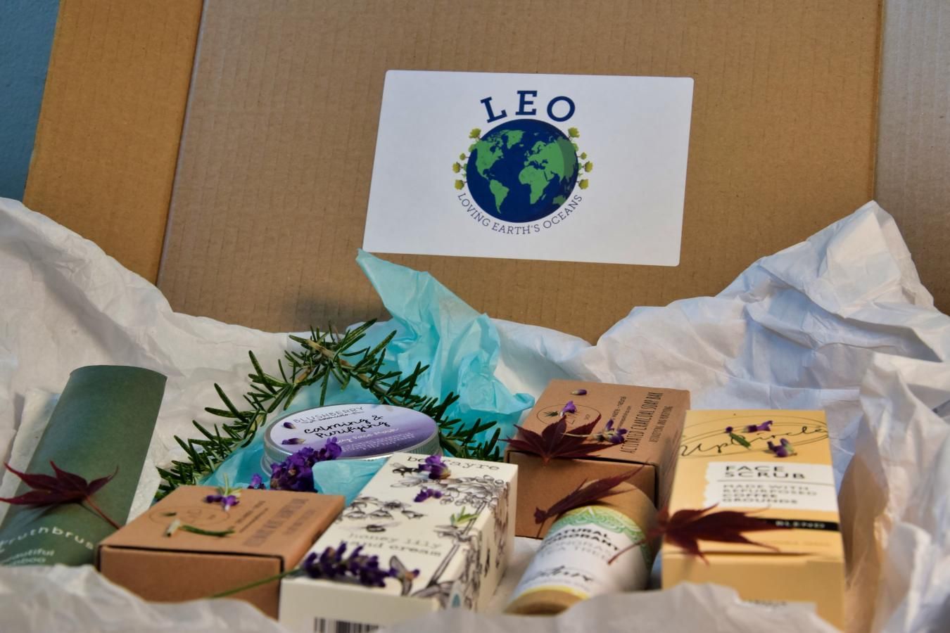 Leo's Box