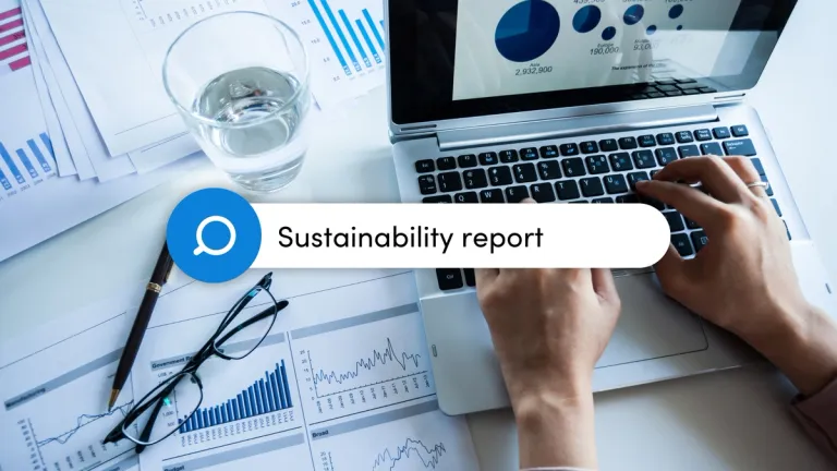 Why have a sustainability report?