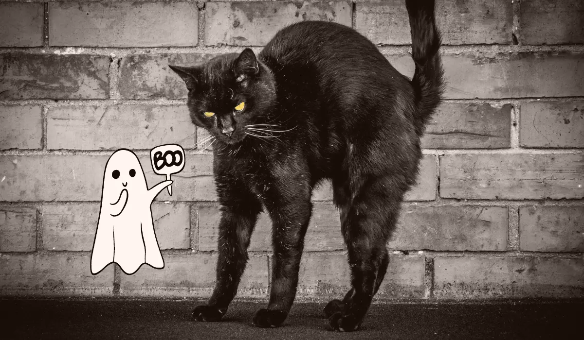 Halloween is frightfully good fun, but the toll it takes on the environment can be downright terrifying. Cheap costumes, plastic sweet wrappers, single-use decorations… almost everything about the holiday is designed to be disposable, adding to the planet’s mounting waste problem.