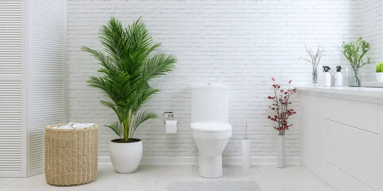 Six ways to have a greener toilet