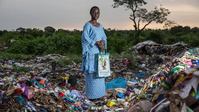 Celebrating Female Leaders in Sustainability