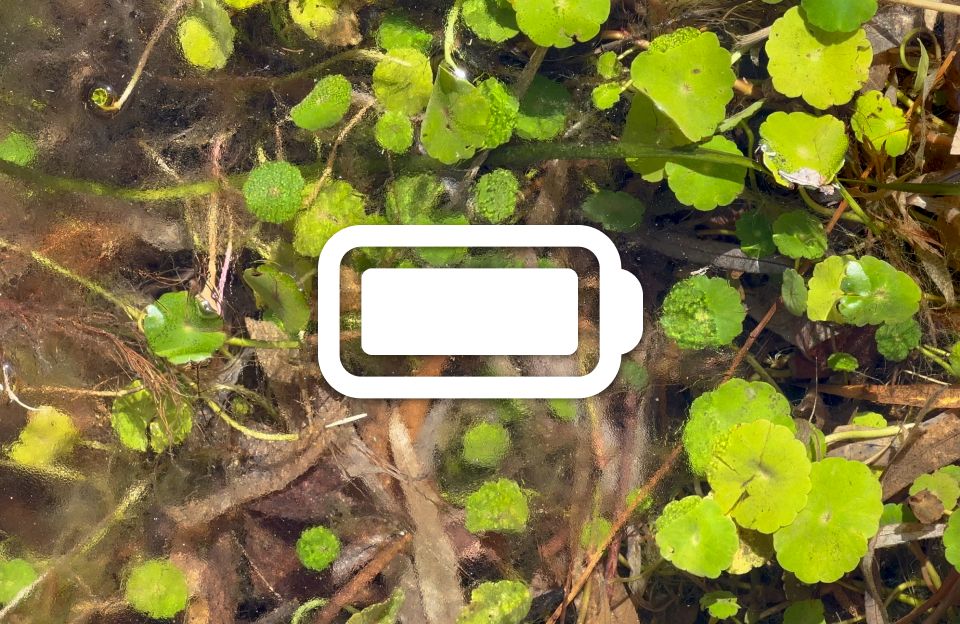 Increased Battery Data Granularity