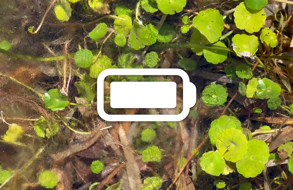 Increased Battery Data Granularity