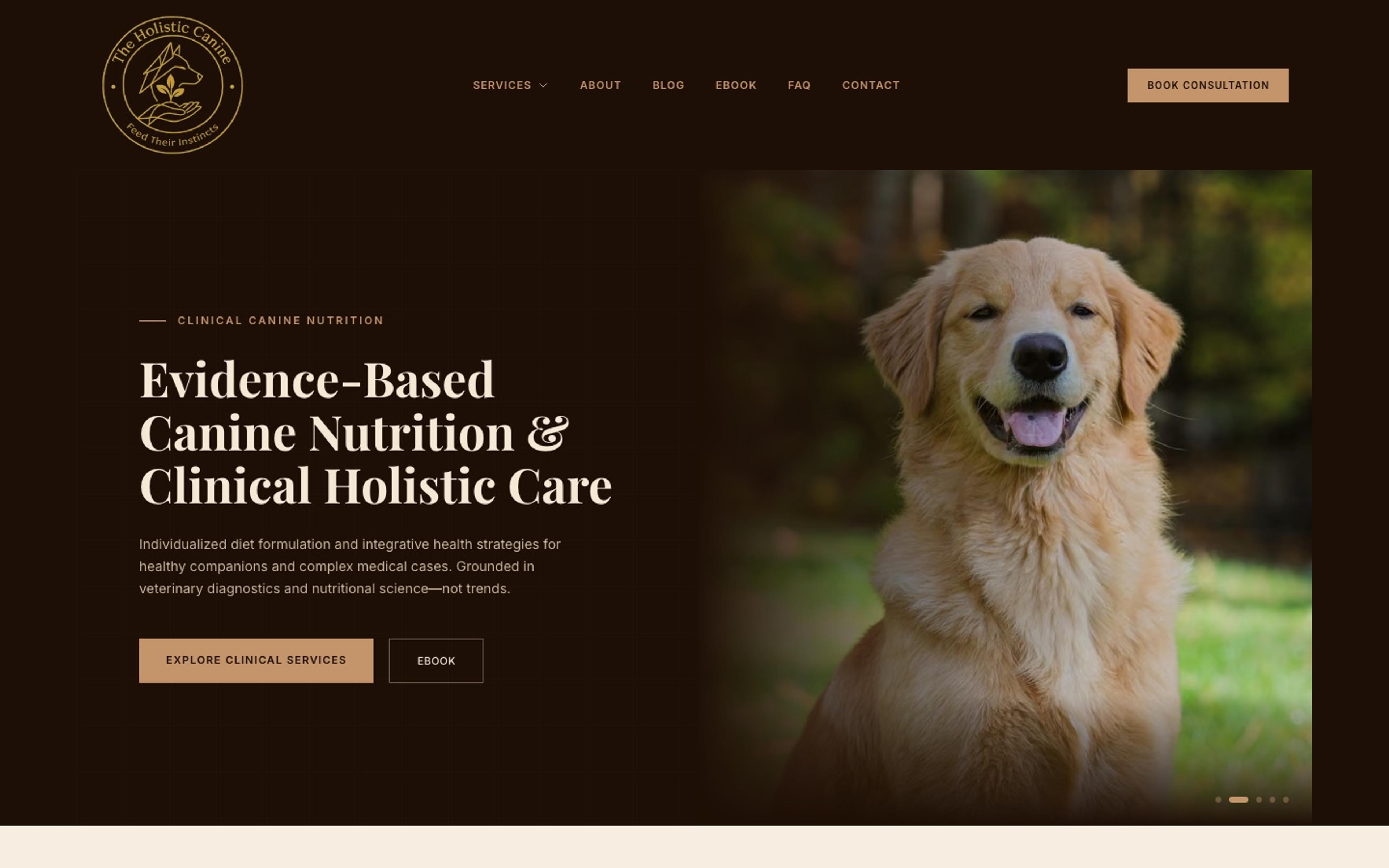 The Holistic Canine website homepage, designed by Faridi Marketing Group