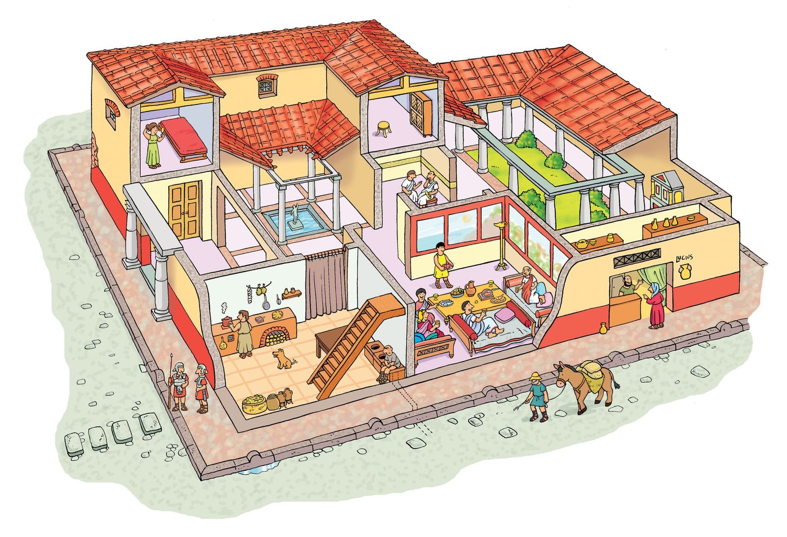 Domus
