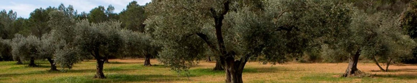 ZER Garrigues Altes.jpg