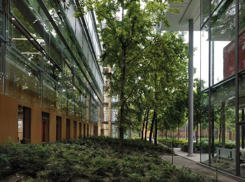 A large building with a lot of windows and trees in front of it