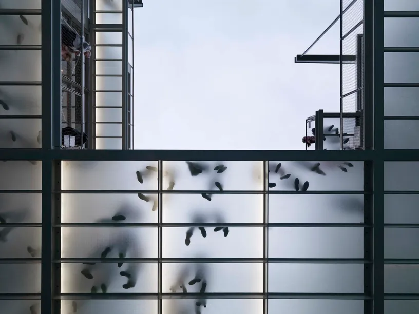 A group of people are standing in front of a glass wall