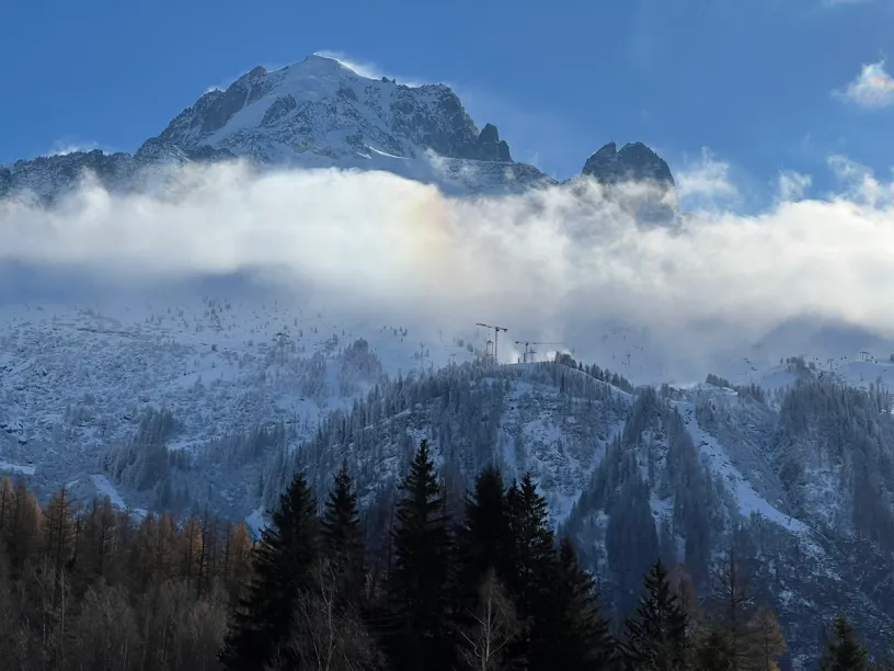Snowy mountains partially obscured by clouds, with a faint iridescent glow, trees in the foreground, and cranes on a distant slope.