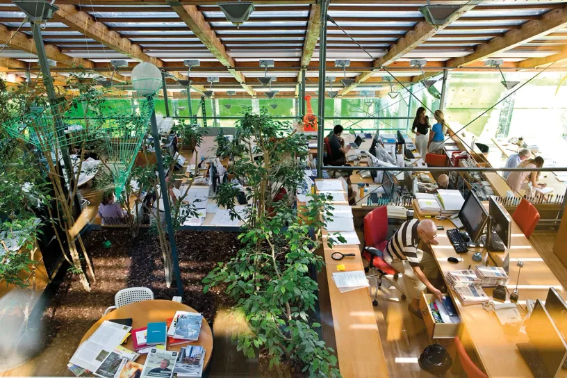 A man is sitting at a desk in an office surrounded by trees