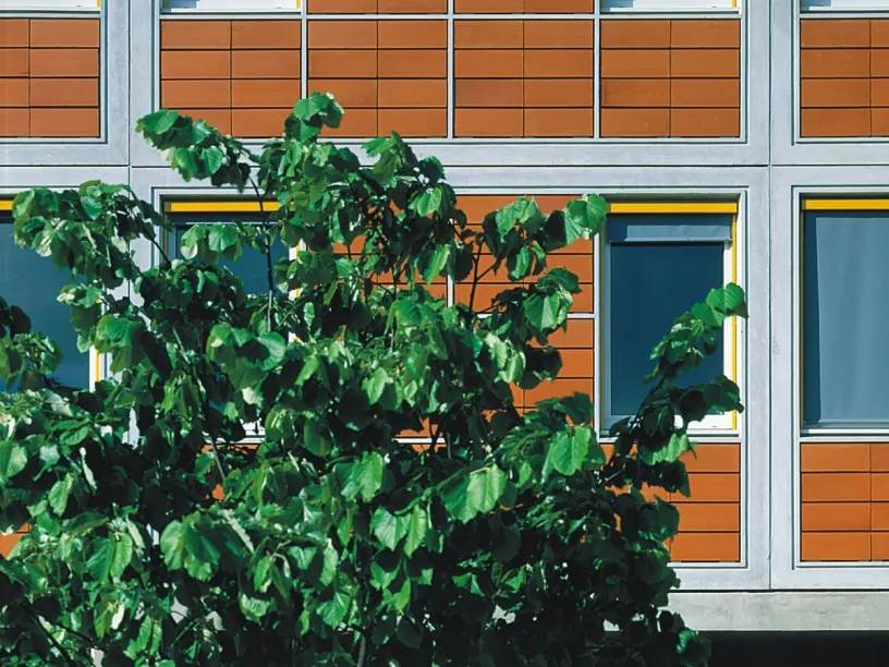 a tree in front of a building with a lot of windows .