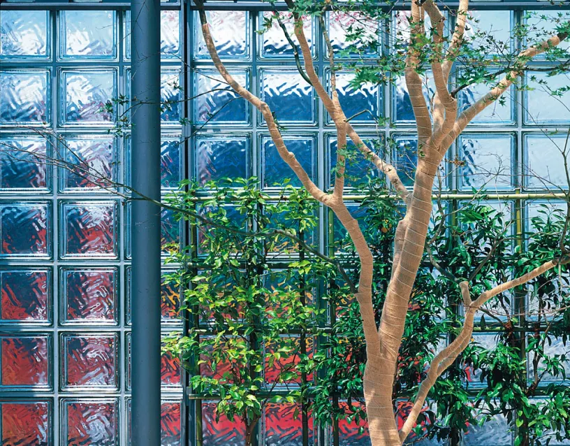 A tree is growing in front of a building made of glass blocks