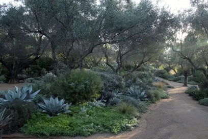 a dirt path in a garden surrounded by trees and plants .
