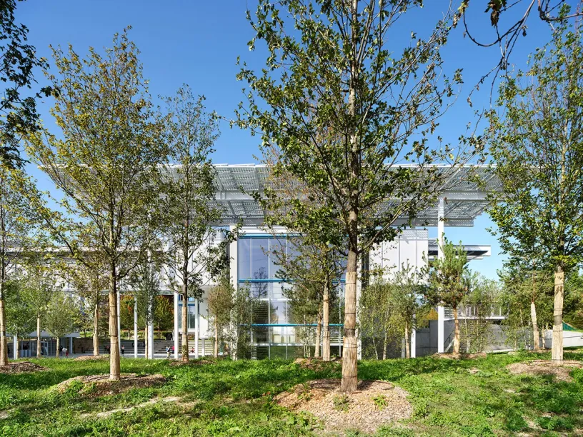 A large white building with a lot of windows and trees in front of it