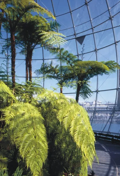 A glass dome with ferns growing inside of it