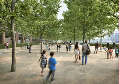 A group of people are walking down a path lined with trees
