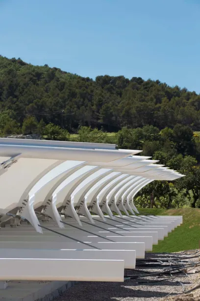 A row of white umbrellas with trees in the background