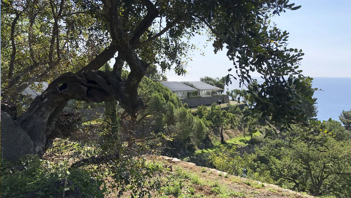 a house is sitting on top of a hill next to the ocean .