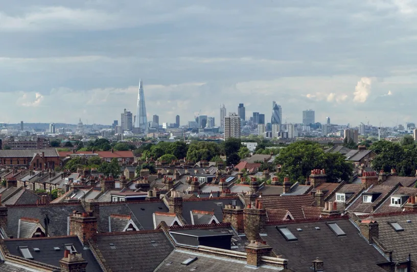 An aerial view of a residential area with a city skyline in the background