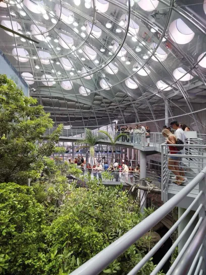 a group of people are standing on a bridge in a building surrounded by trees .