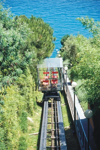 A black and white drawing of a city with trees and buildings