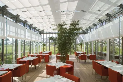 A restaurant with tables and chairs and a tree in the middle of the room