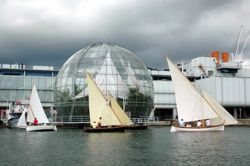 A group of sailboats are floating on top of a body of water in front of a building