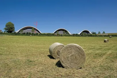 Two bales of hay are sitting on top of a lush green field