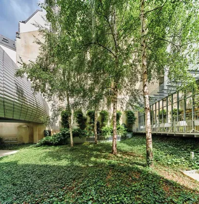 A garden with trees and ivy in front of a building
