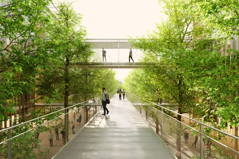 An elevated pedestrian walkway lined with trees, with people walking on the path, on a lower level, and on overhead bridges.