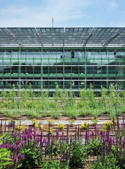 A building with a lot of windows and purple flowers in front of it