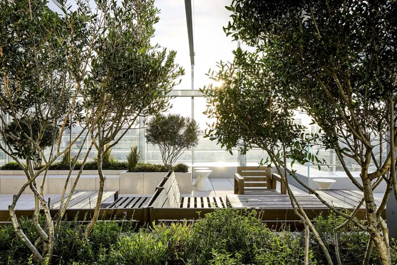 a rooftop garden with trees , benches , chairs and a table .