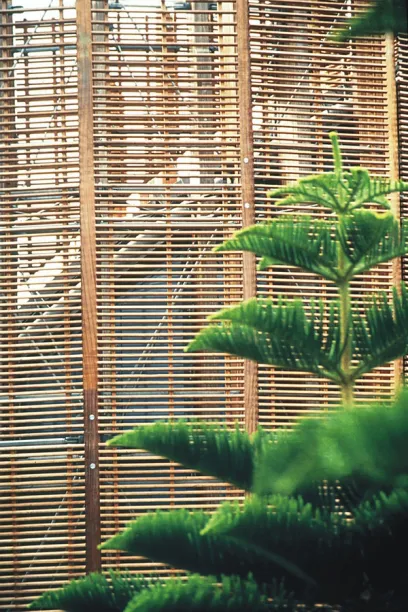 A wooden fence with a tree in front of it
