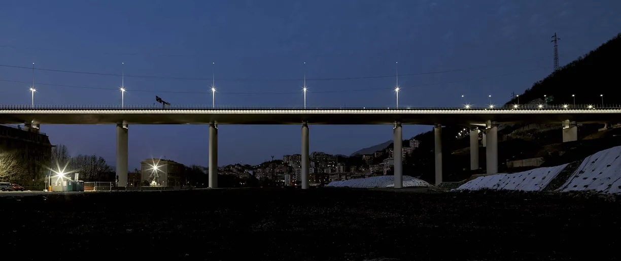 A bridge is lit up at night with a bird flying over it