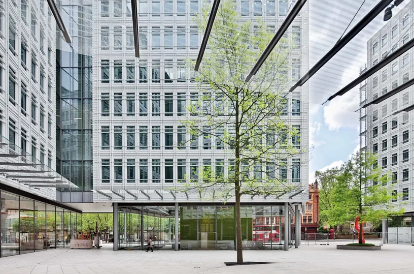 A large building with a lot of windows and a tree in front of it