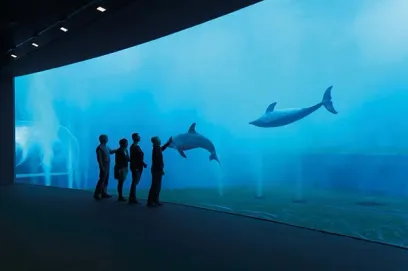 A group of people are standing in front of a large aquarium with dolphins in it
