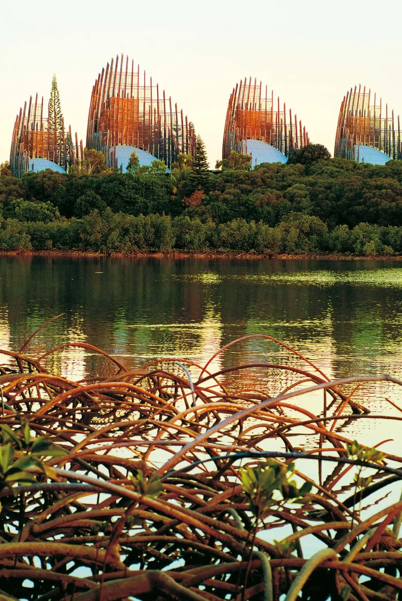 A large body of water with trees in the background