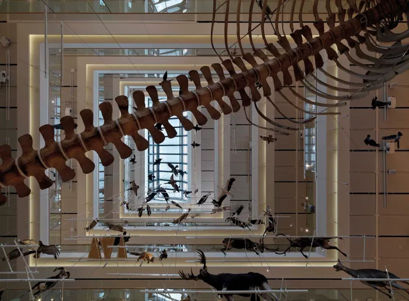 a group of people are standing on a balcony in a large building .